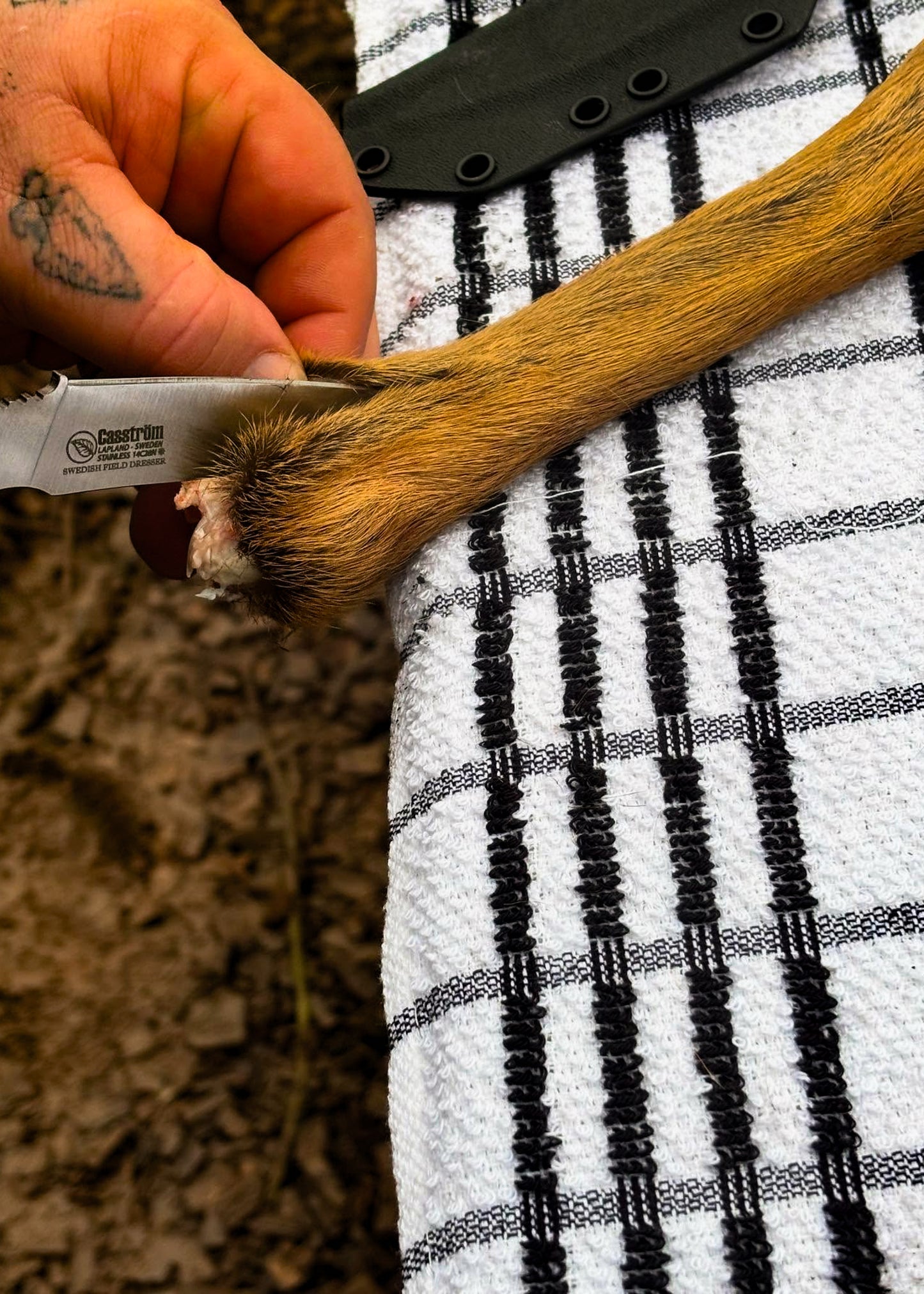 Deer Processing and Woodland Skills