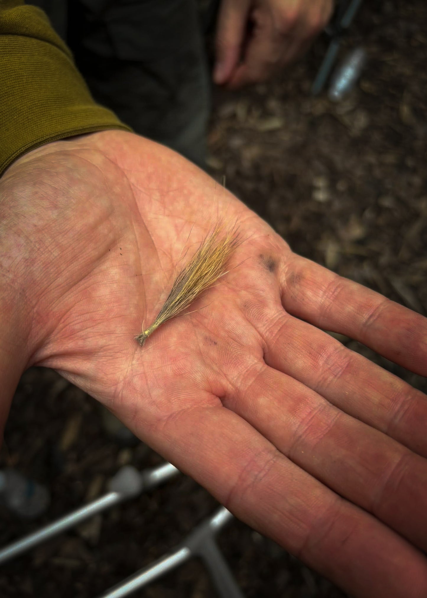 Primitive Fishing and Tools