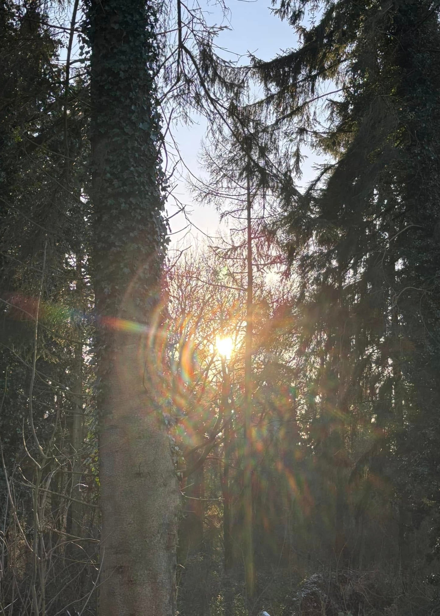 2026 Bushcraft Expedition SWEDEN