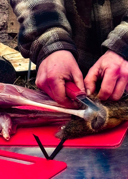 Deer Processing and Woodland Skills