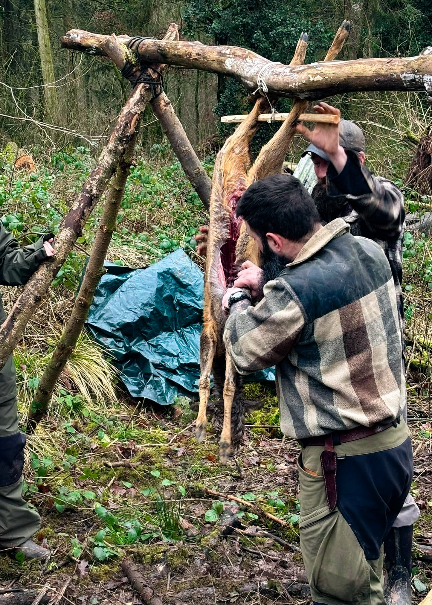 Deer Processing and Woodland Skills